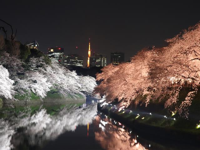 写真提供/千代田区観光協会