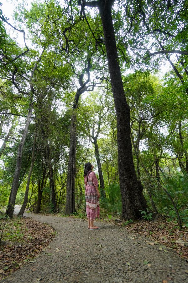 ビュースポットまで20分ほど歩くが苦痛にはならない