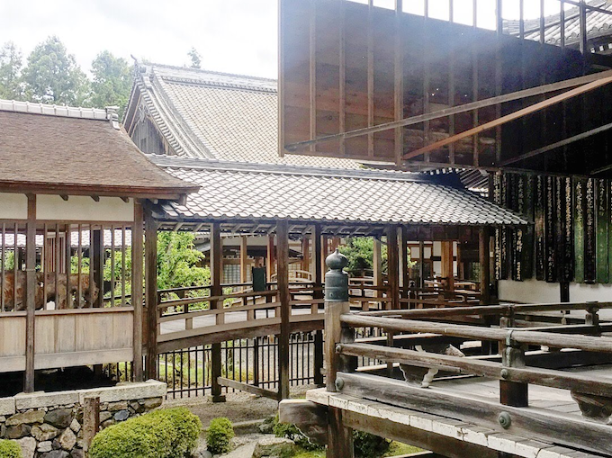 明智家の菩提寺「西教寺」