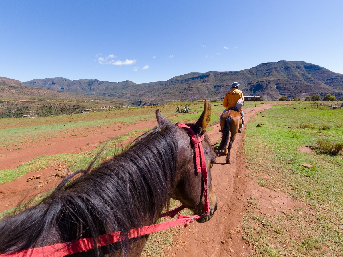 マレアレアでホーストレッキング