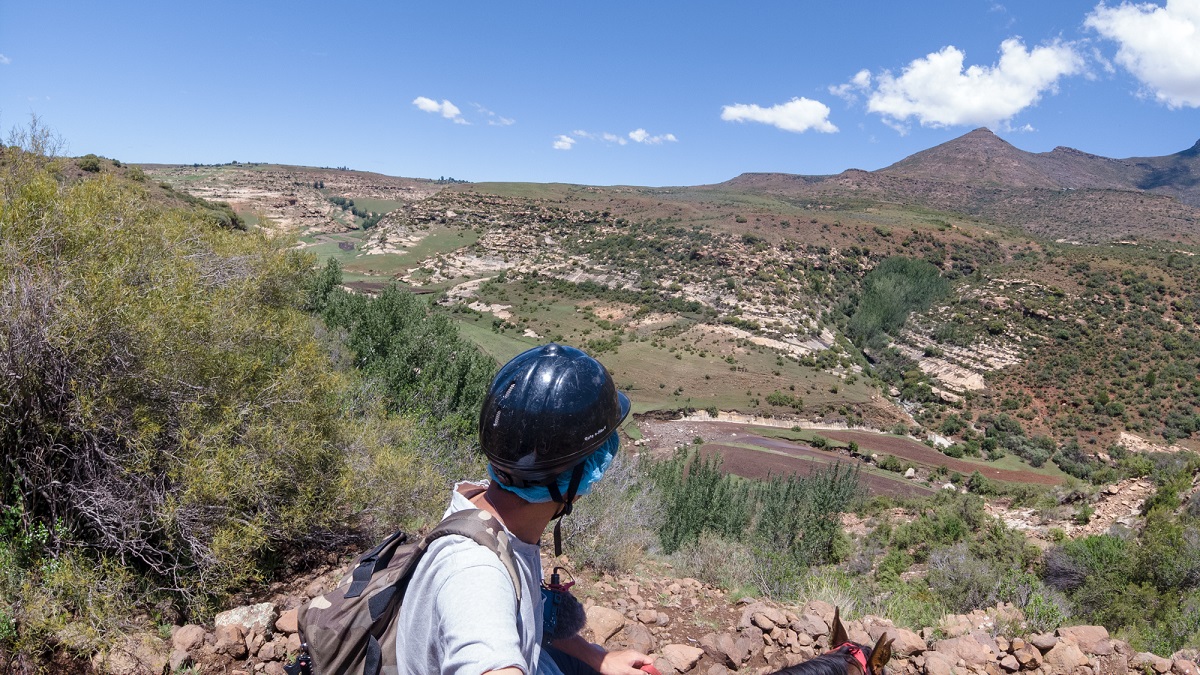 崖の目の前を臆することなく進む馬