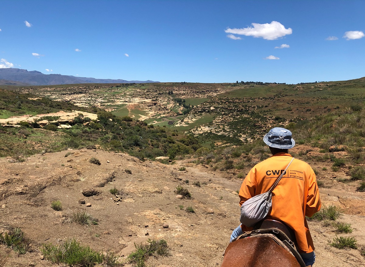 馬の上から見た景色