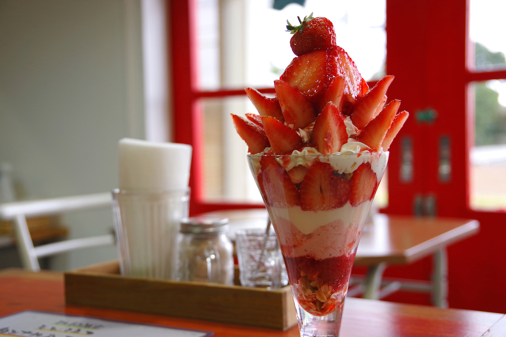 大きな窓があり、雨の日でも店内は明るい感じに。