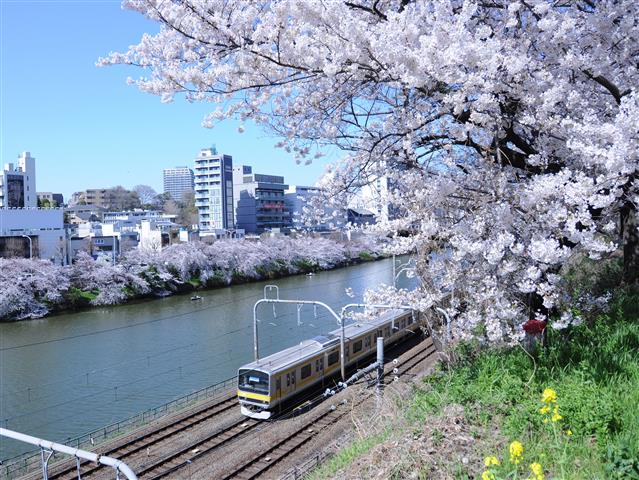 千代田区広報広聴課