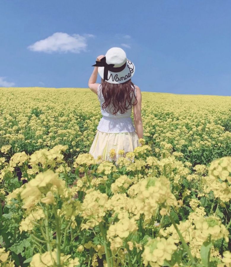 富田さとにわ耕園／千葉県　菜の花