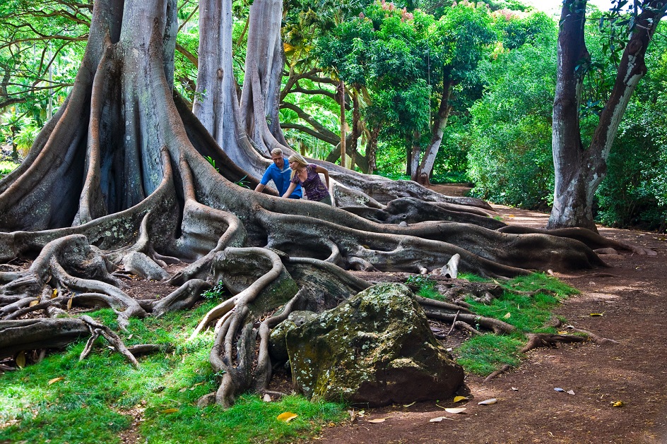 写真提供：Hawaii Tourism Authority (HTA) / Tor Johnson