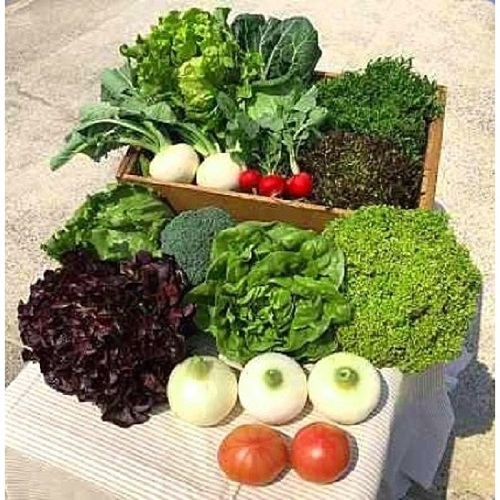 淡路野菜のお楽しみセット(5種類程度) 4000円(消費税、送料込み) 30セット限り