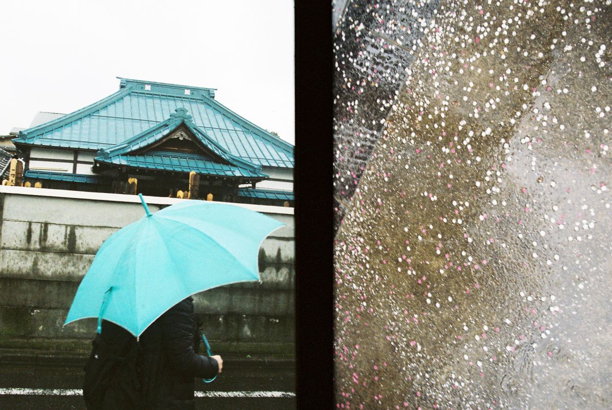 （キャプション未定）