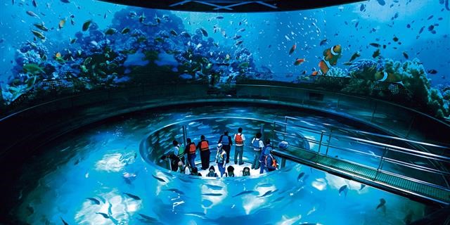 ＃いつか行きたい 絶景＆動物でリフレッシュ！城崎・豊岡をめぐるドライブデートプラン