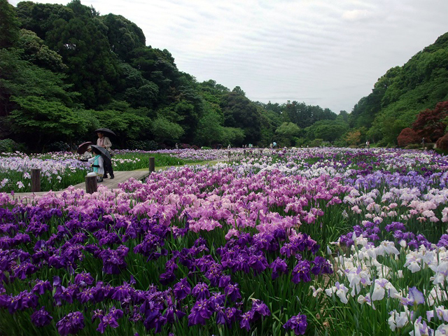 はままつフラワーパーク