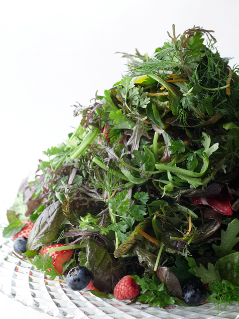 株式会社ジャジョーロ