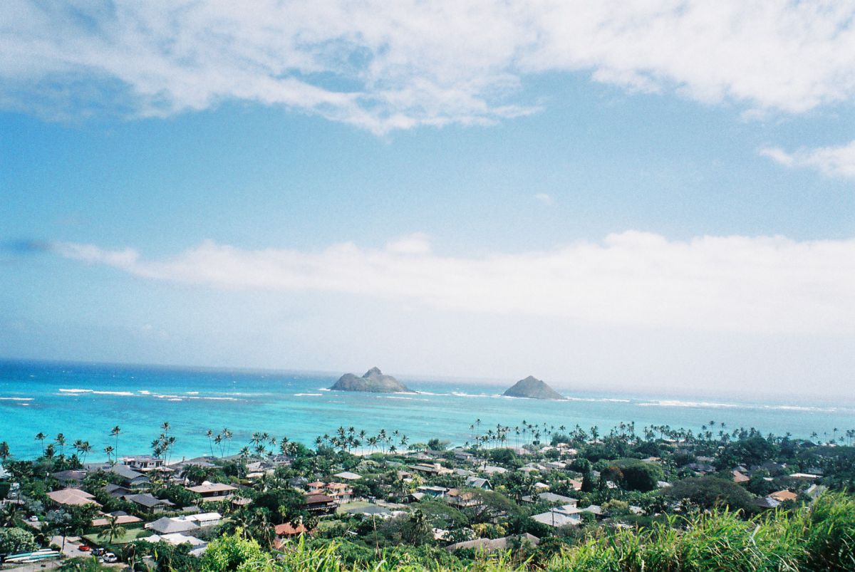 （キャプション未定）