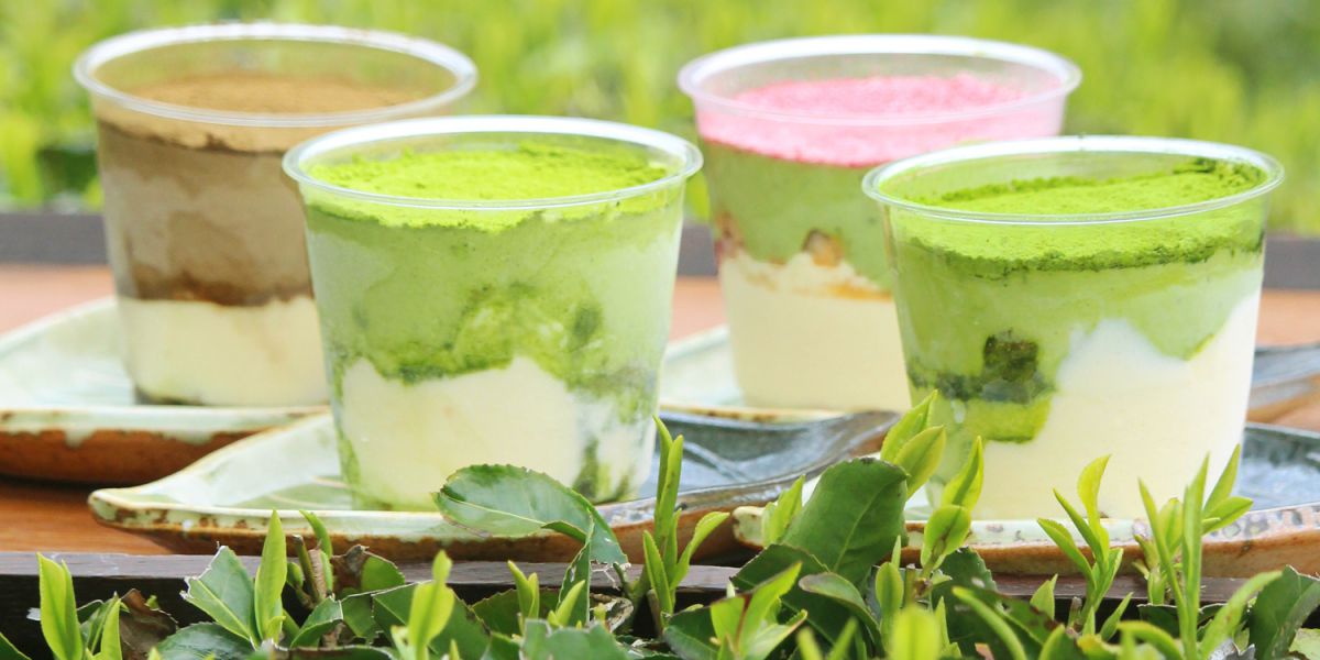 京都の旬をお取り寄せ!新茶の香る「濃厚茶葉の新茶ティラミス食べ比べセット」