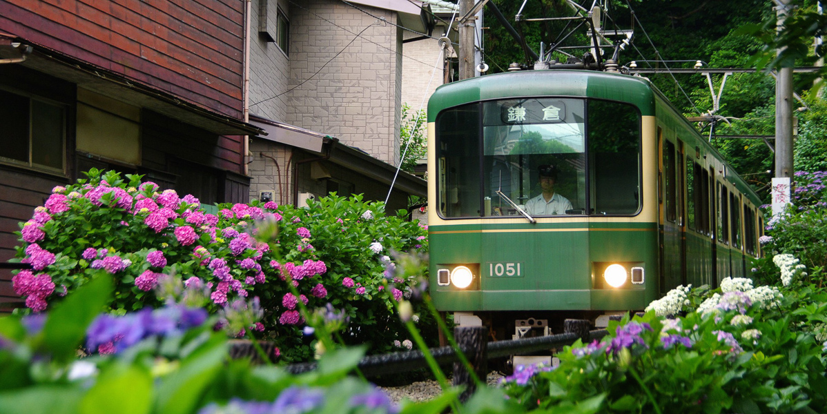 【関東】あじさいの名所厳選4選！雨の日でも行きたい 見頃を迎えるスポットまとめ