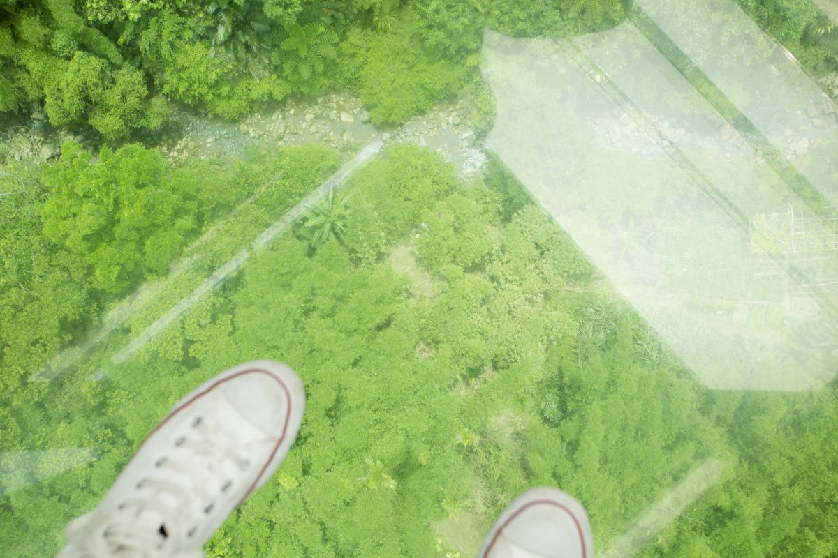 水晶車廂を選んでみました！足元がスケスケで楽しい～。