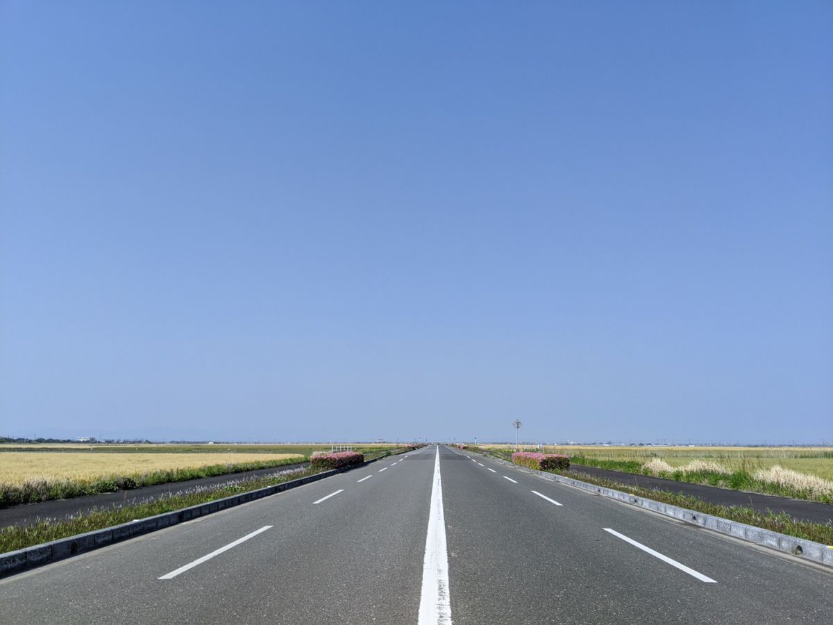 （キャプション未定）