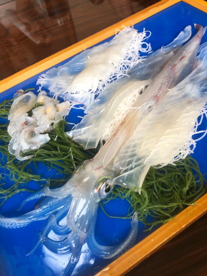 （キャプション未定）