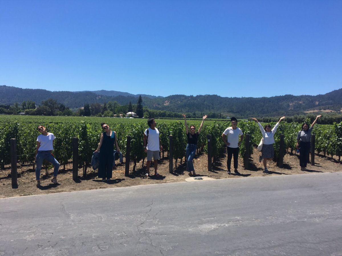 晴天のサンフランシスコ。ブドウ畑にて