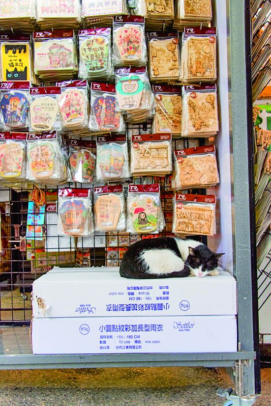 どんな格好でも可愛い～！