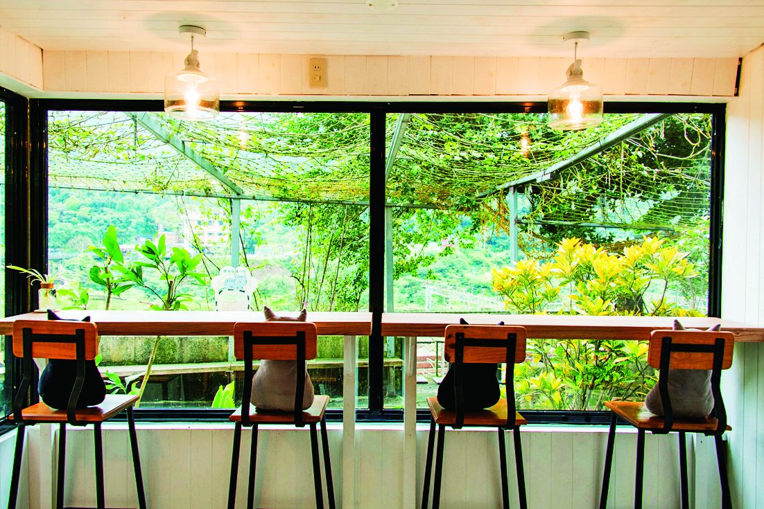 窓から入る外の木漏れ日が素敵