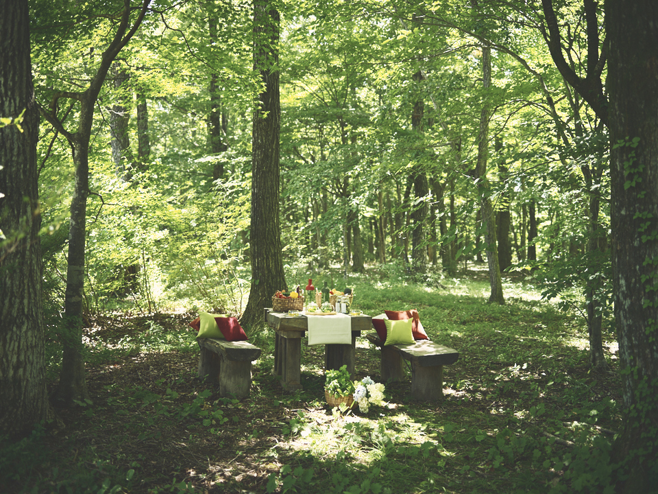 夏の那須高原でリフレッシュ！緑の農園で野菜やハーブを楽しむ休日