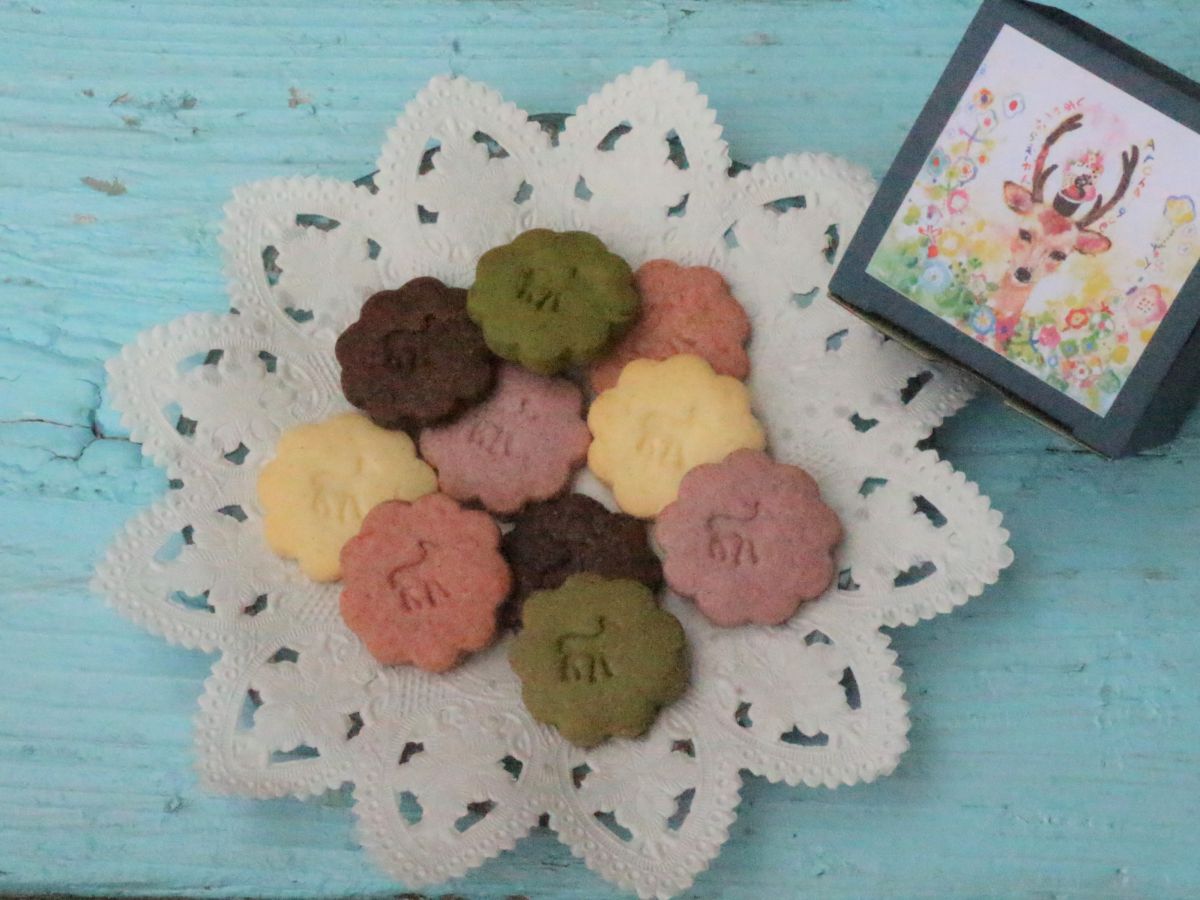 彩りしかさんクッキー 450円