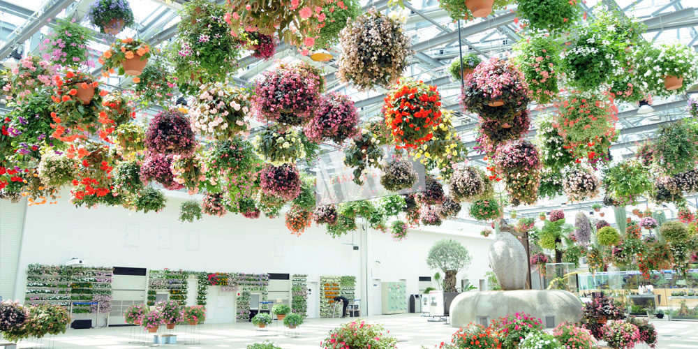 日本初のスタバも！お花とデジタルが融合した新感覚フラワースポットへ