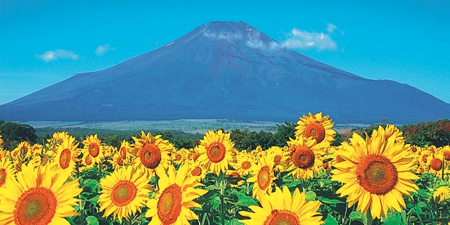 山中湖でおすすめのドライブスポット！湖面に映る絶景や人気の富士ビュースポットを紹介