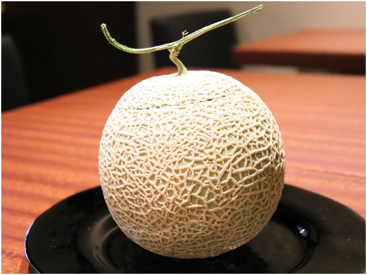 メロンケーキ8000円（税抜）　※取材時の金額。時期や仕入れるメロンにて変動します。