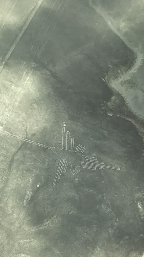 空から見ると浮かび上がる、ナスカの地上絵