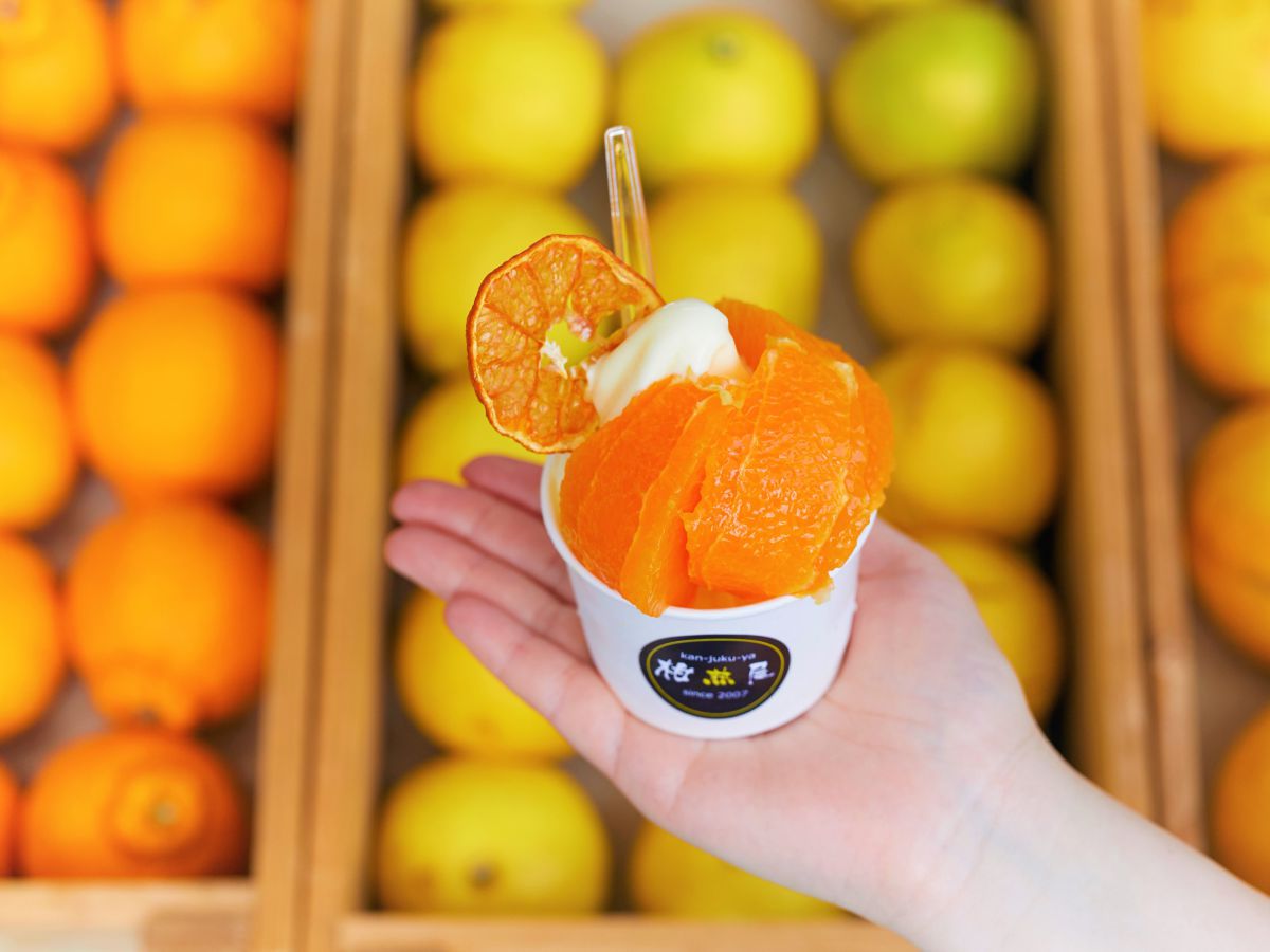 みかんソフト300円～＋生みかんトッピング100円  