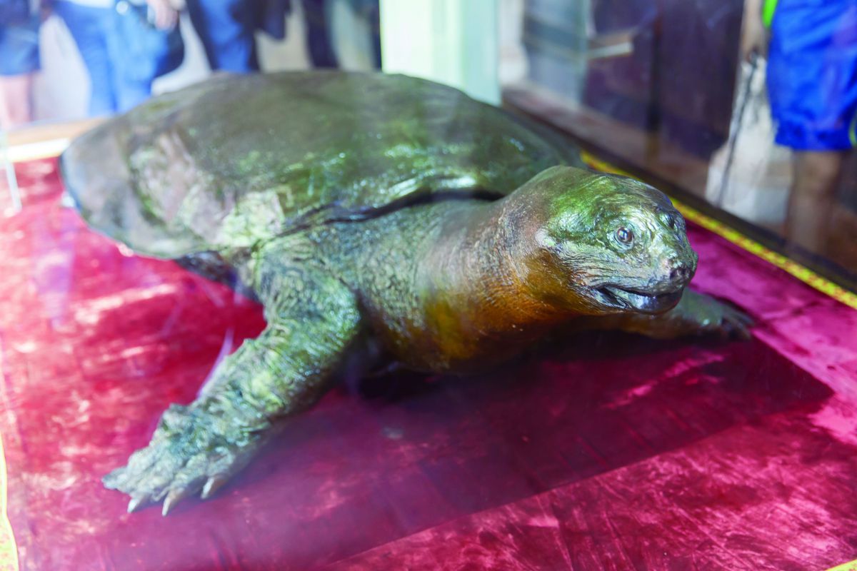 今にも動き出しそう…!