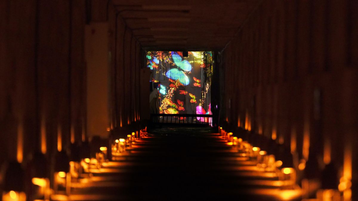 地下道の奥の廃墟に舞う群蝶、超越する空間 / Butterflies Dancing in the Depths of the Underground Ruins, Transcending Space teamLab, 2019, Digital Installation, Sound: Hideaki Takahashi