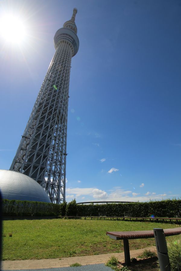 ドームガーデン©TOKYO-SKYTREETOWN