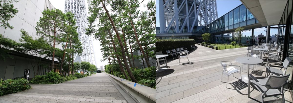 スカイアリーナ　©TOKYO-SKYTREETOWN