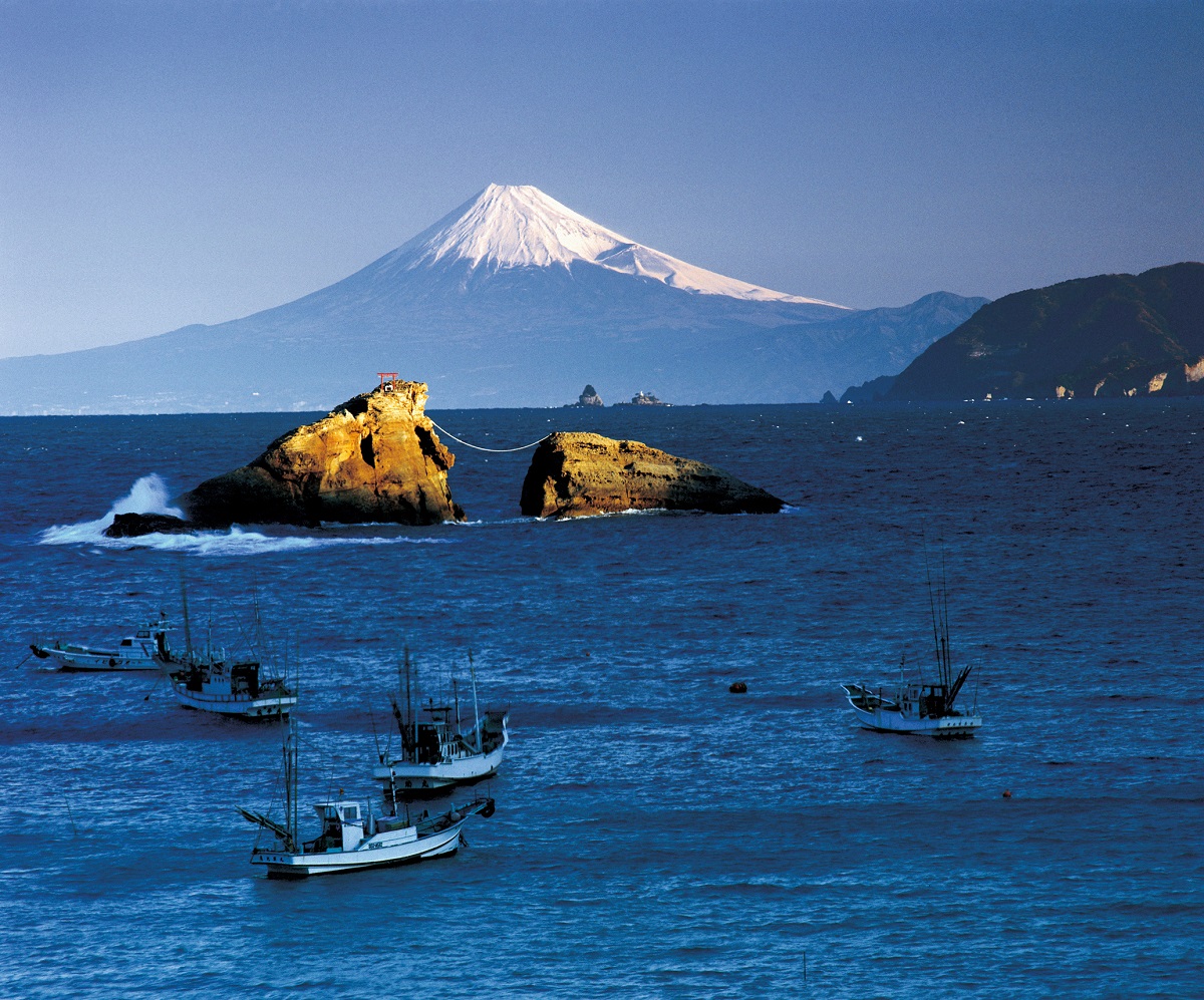 写真提供：静岡県観光協会
