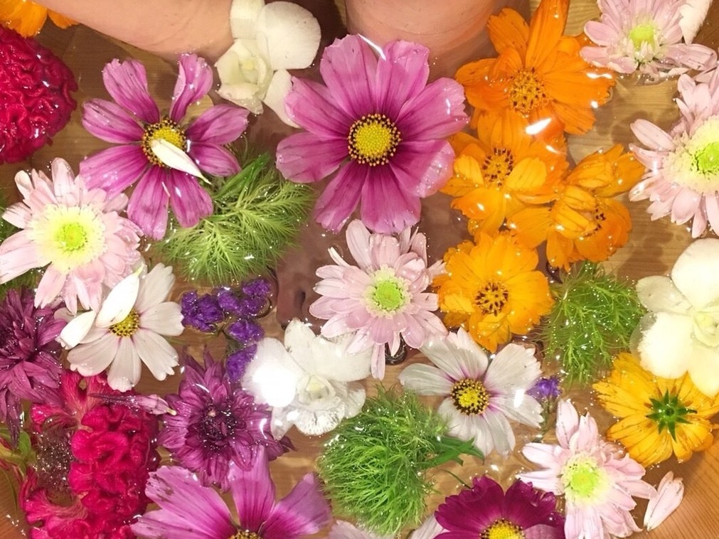 MIYABI雅（季節のお花の足湯＋フットマッサージ＋1ドリンク、30分4400円、50分6600円）