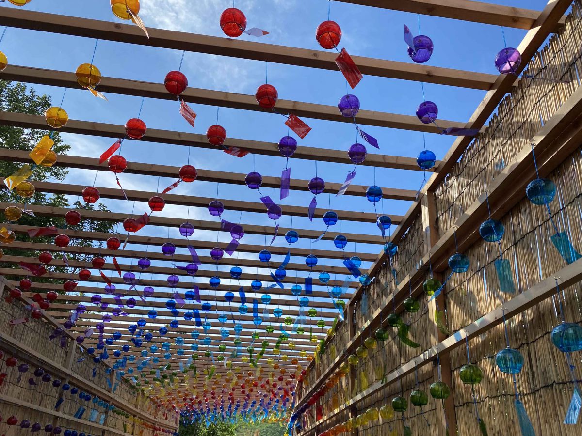 （写真提供：びわこ箱館山）