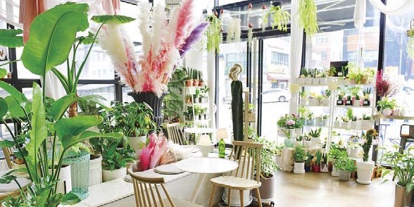 リラックスしましょ♪癒しのひと時を過ごせる韓国のボタニカルカフェ4選