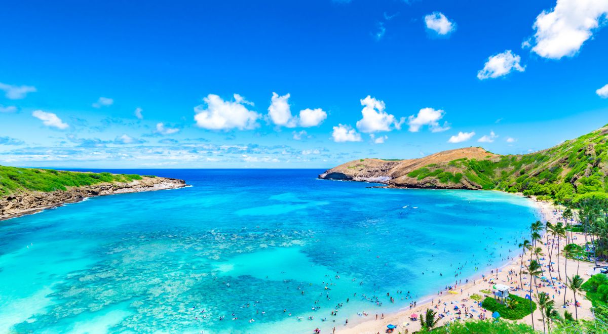 美ら海ハワイ 2025年 Waikiki Sailing Company - 出発前に知っておくべきこと