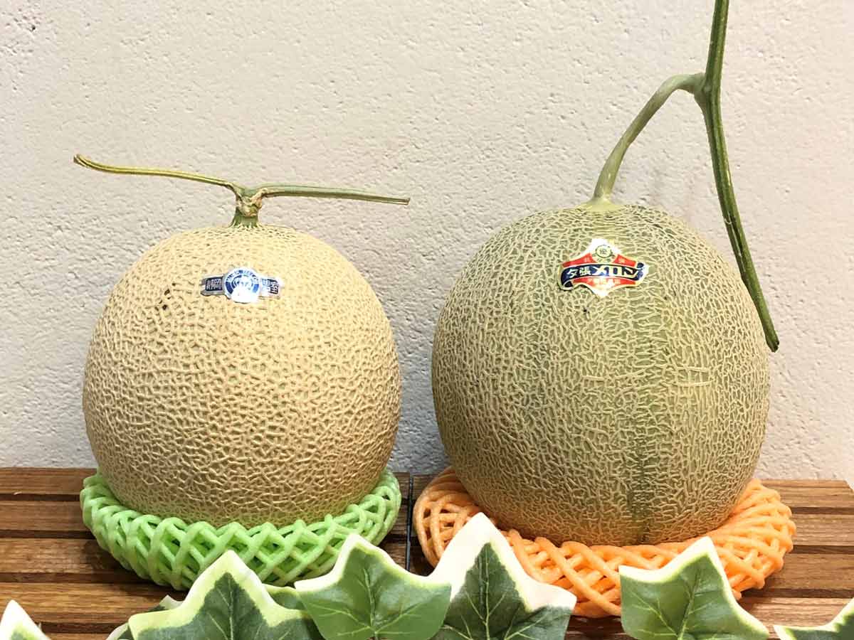 メロン／浅草よろず茶屋444