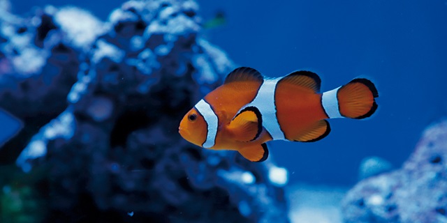 たっぷり遊んで癒されて！名古屋の人気レジャースポットで1日デート