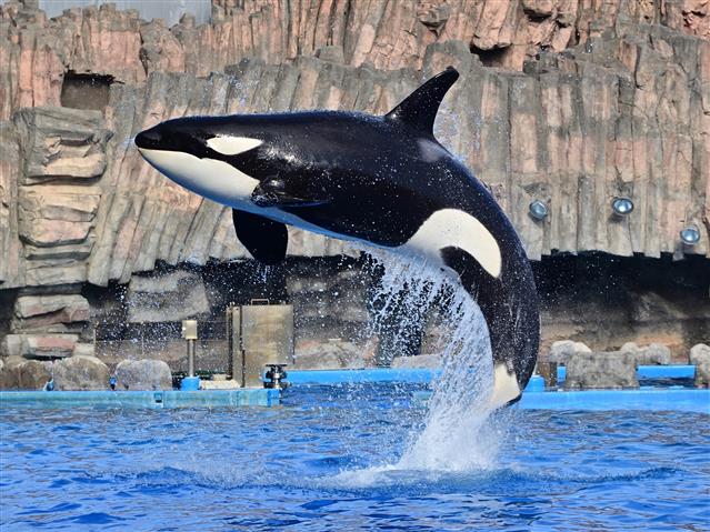 名古屋港水族館