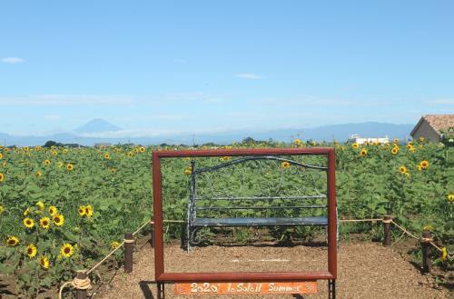 額縁タイプ（入口花畑）