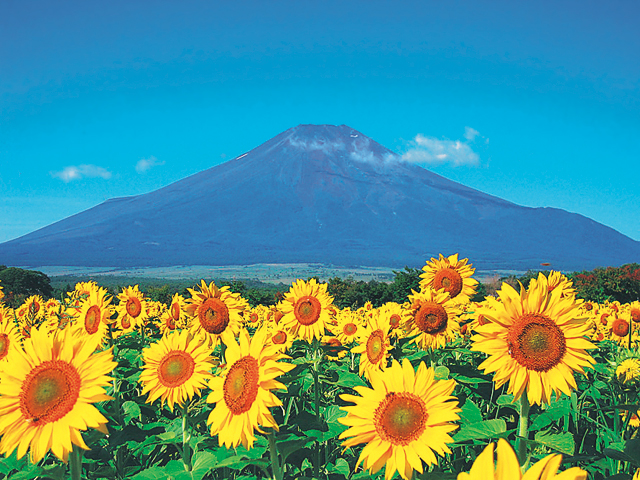 日本全国の人気スポットを制覇！47都道府県モデルコースカタログ