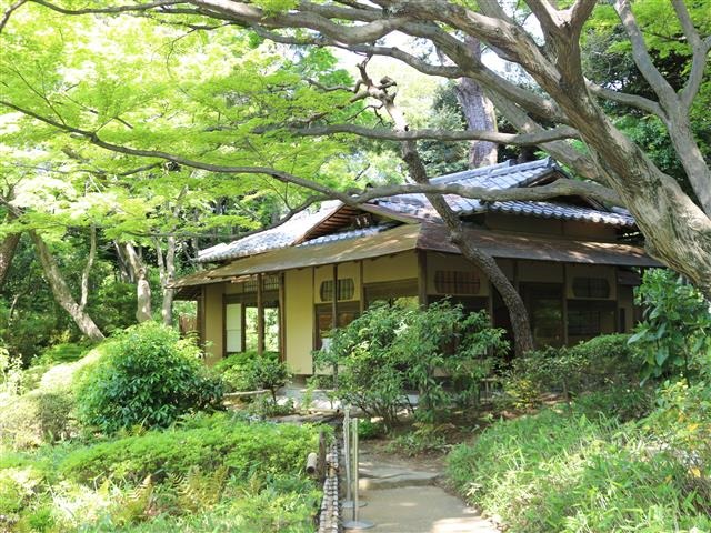 日本庭園内の茶室も重要文化財に指定されている／東京都庭園美術館