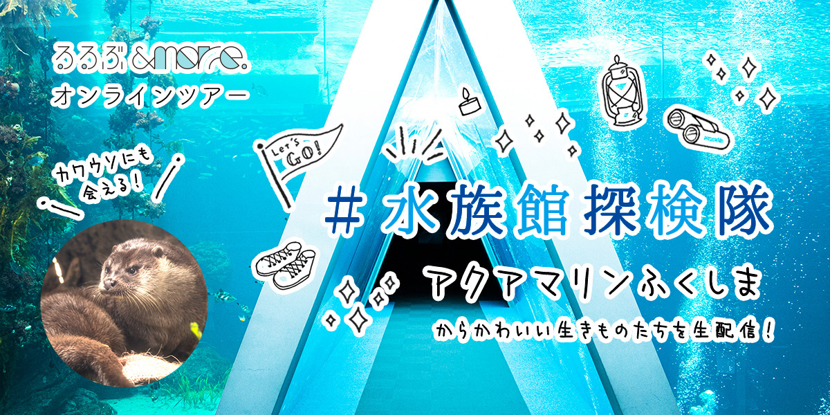 【終了いたしました】オンラインツアー開催！おうちで水族館探検～アクアマリンふくしまからかわいい生きものたちを生配信