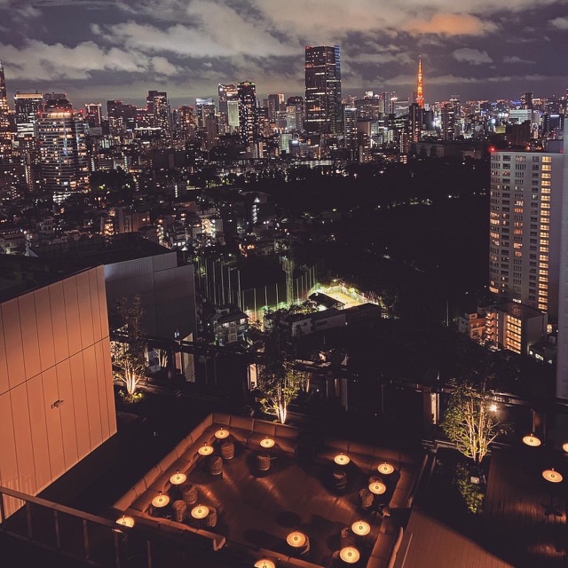 美しい夜景は遠くに東京タワーの姿も
