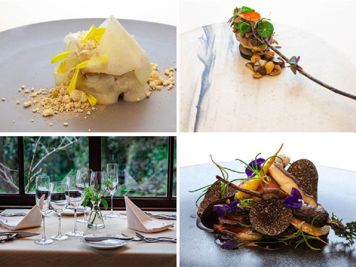 【先着50名限定】レストラン予約が≪ 10％ 割引 ≫になる！「るるぶモール」クーポン配布