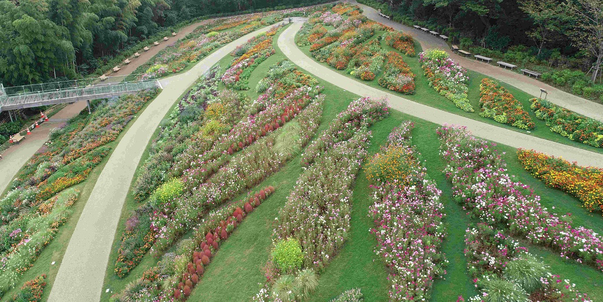 秋の連休にもおすすめ！首都圏のおでかけスポット「秋の里山ガーデンフェスタ」へ